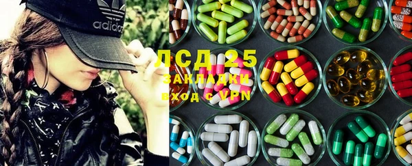 ГАЛЛЮЦИНОГЕННЫЕ ГРИБЫ Костерёво