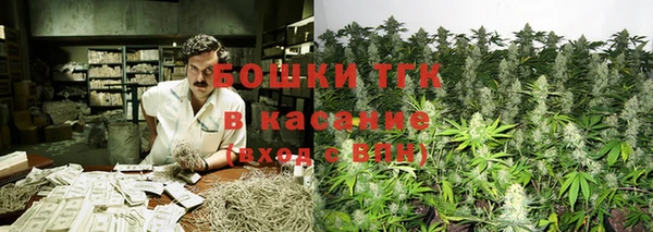 ГАЛЛЮЦИНОГЕННЫЕ ГРИБЫ Костерёво