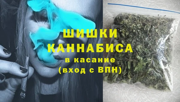 ГАЛЛЮЦИНОГЕННЫЕ ГРИБЫ Костерёво