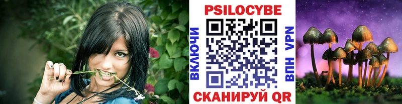Купить  Черняховск  Псилоцибиновые грибы прущие грибы 